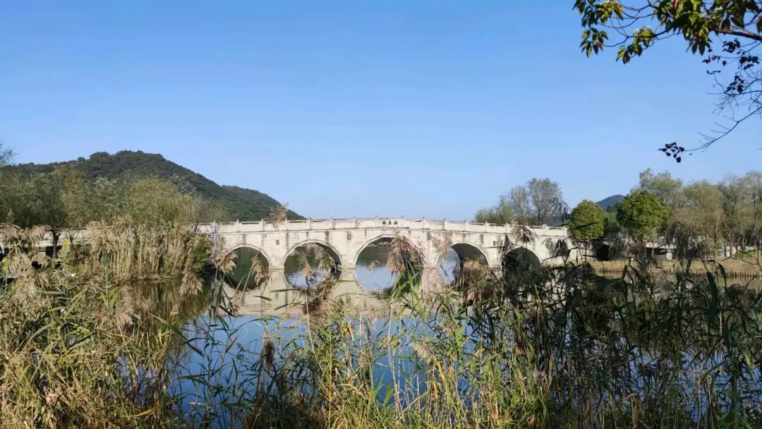 一周小结文字图片,小学一周小结怎么写