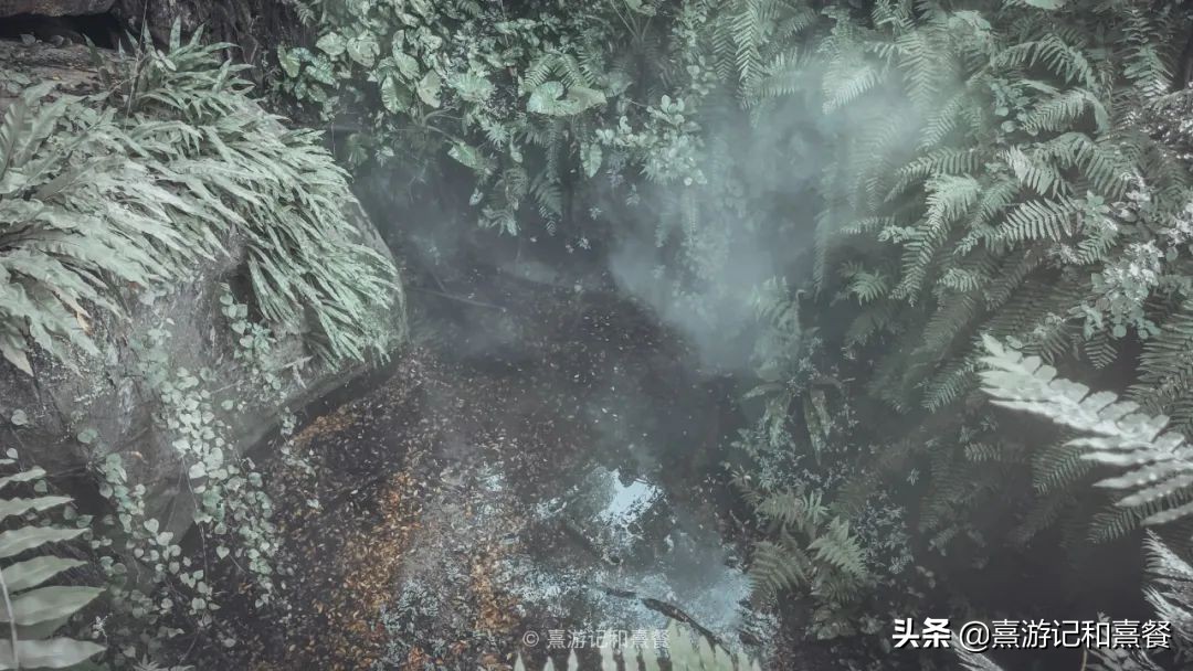 去厦门必须体验的六件事,送给第一次去厦门的五点建议