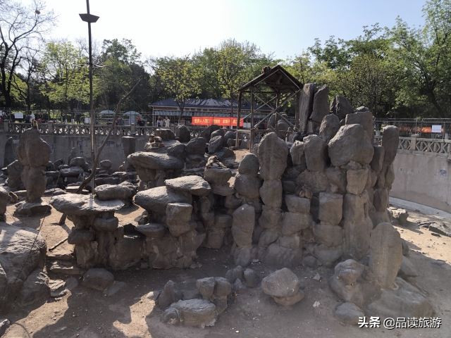 开了动物园,开了个动物园