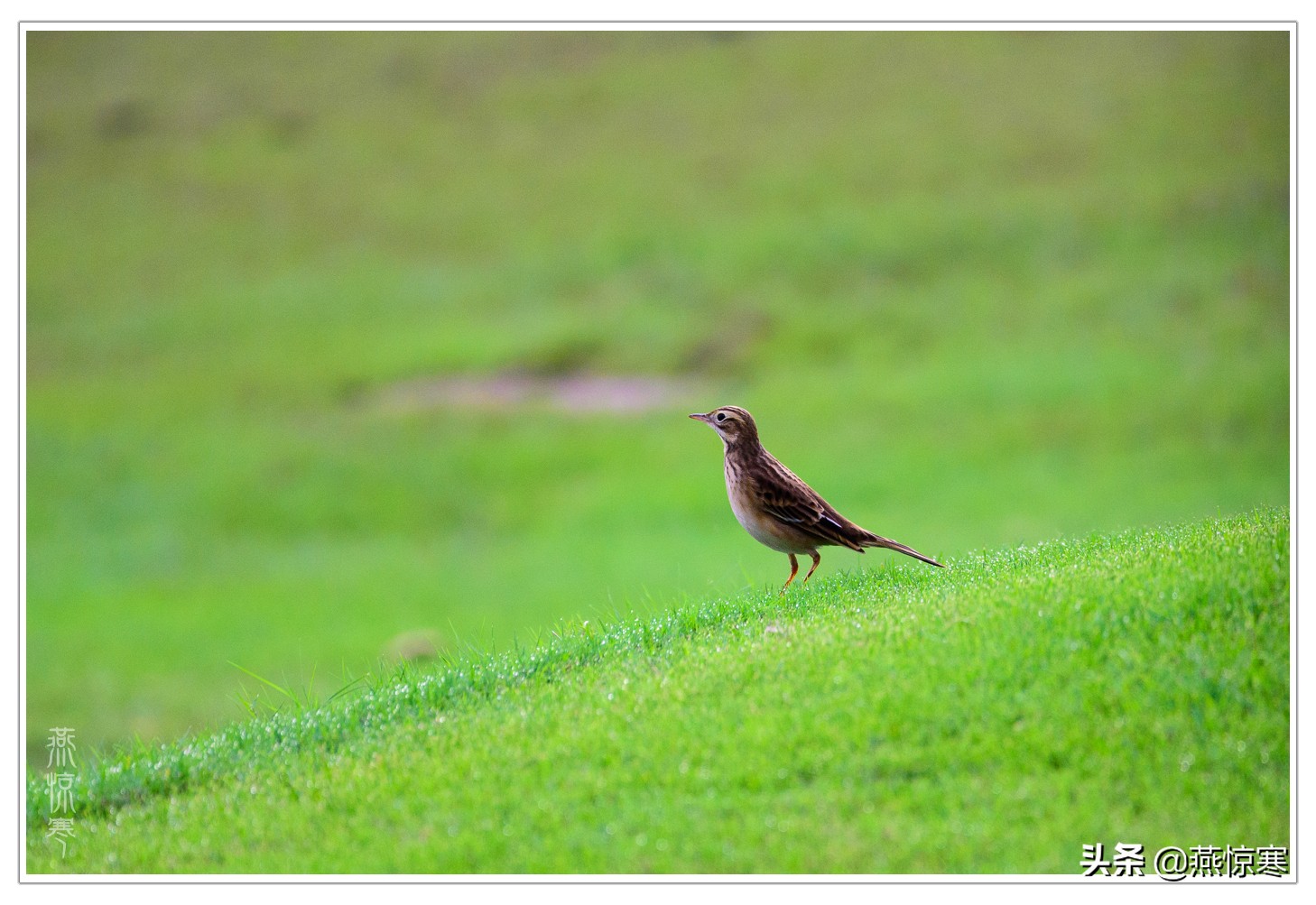 说说我用过的那些相机和镜头（3）：尼康篇