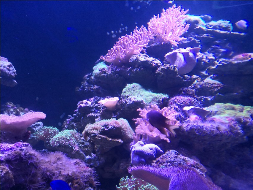 北京工体富国海底世界周一营业,北京工体富国海底世界旅馆