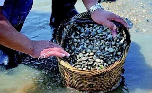 你是否见过鱼儿逆流而上？这里的“渔文化”妙趣横生