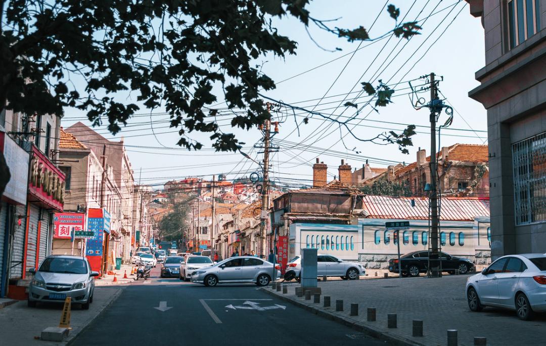 海滨老城泡桐花 (海滨老城紫色泡桐花)