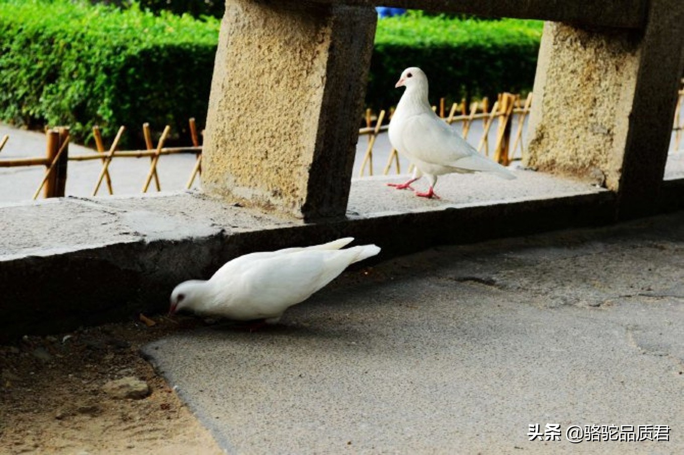 厦门海边之旅,厦门小众旅游体验