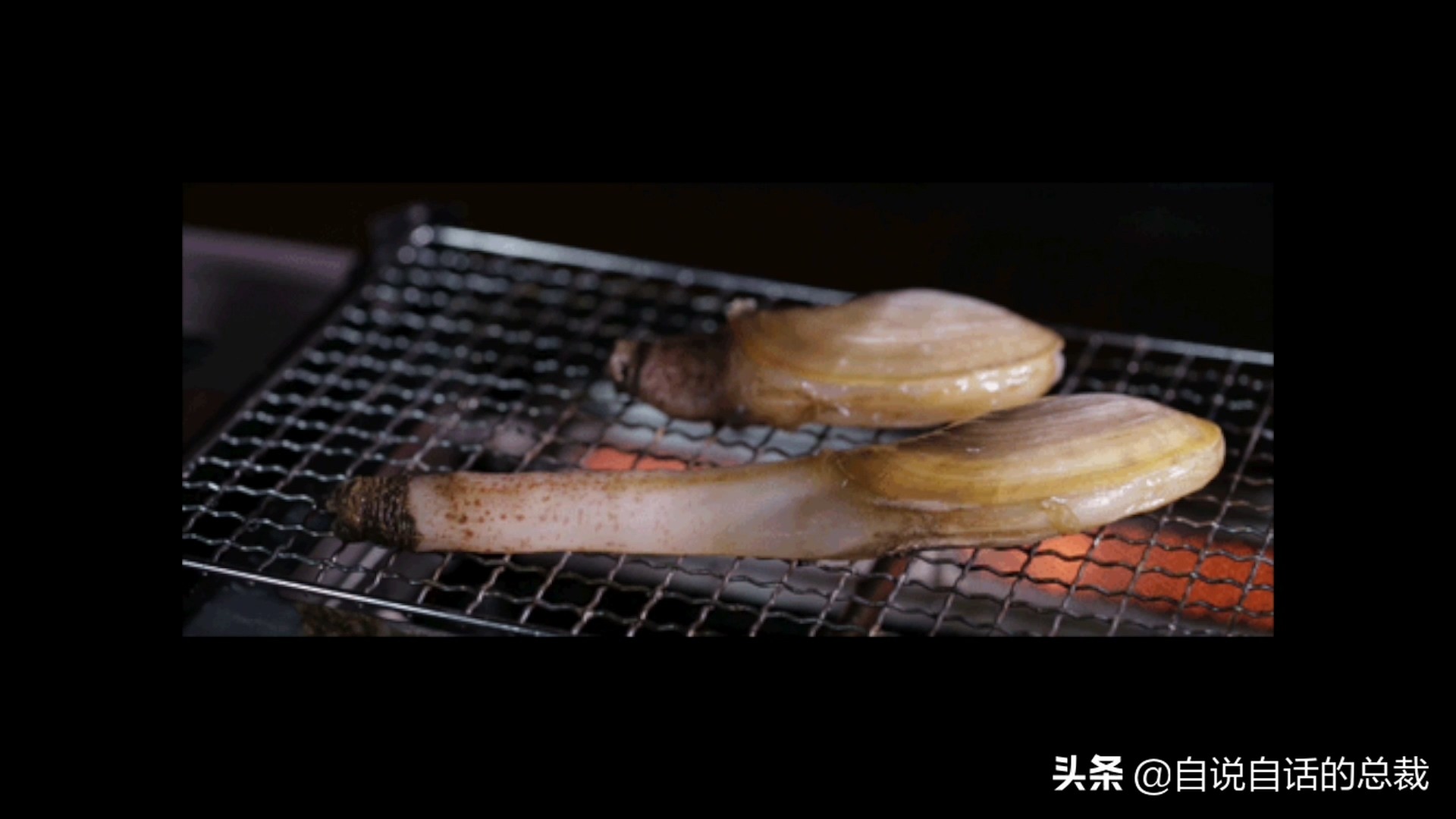 蛏子与小人蚬的区别,贻贝蛤蜊有什么区别