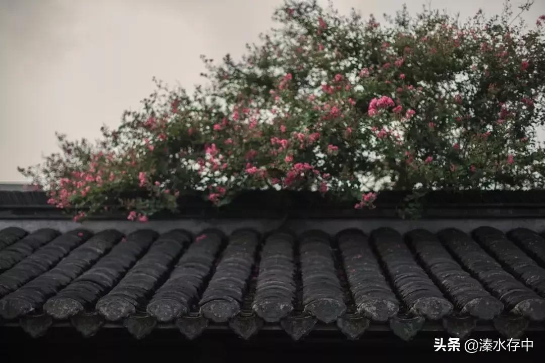 姜堰好吃又好玩的地方,56张美景图片大饱眼福