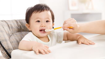 婴儿如何添加辅食不变成过敏体质,婴儿怎么添加辅食对脾胃好