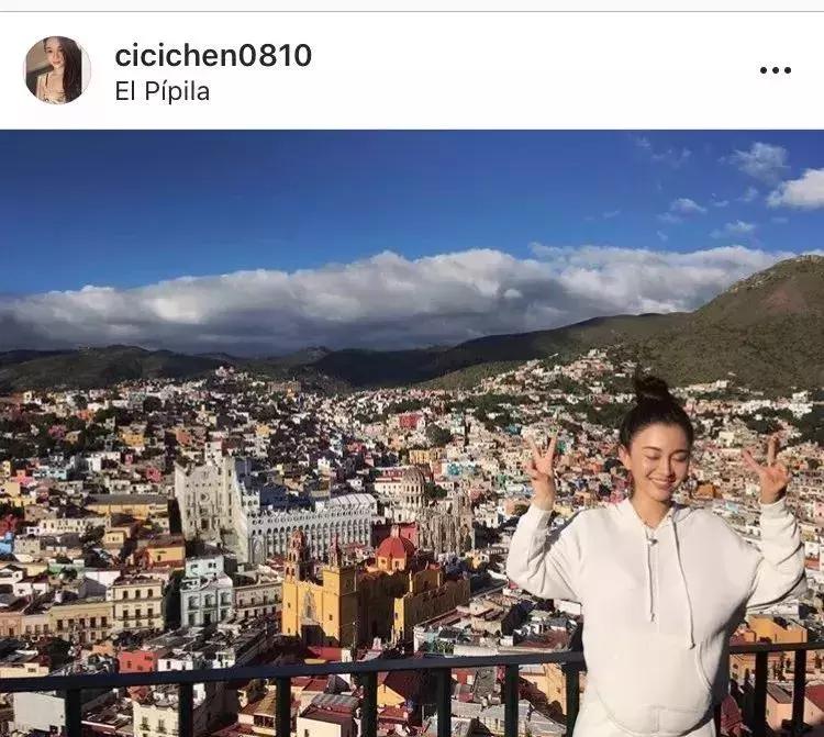 吴秀波出轨女主角:假包、假表、真小三