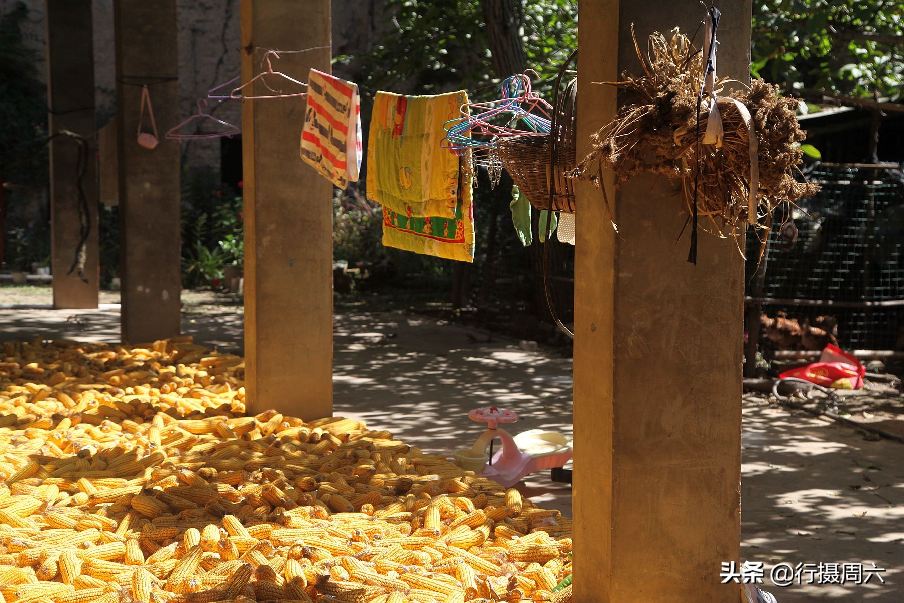 山村大姐花30元建成淋浴房，洗澡方便实用不花钱，看是啥样