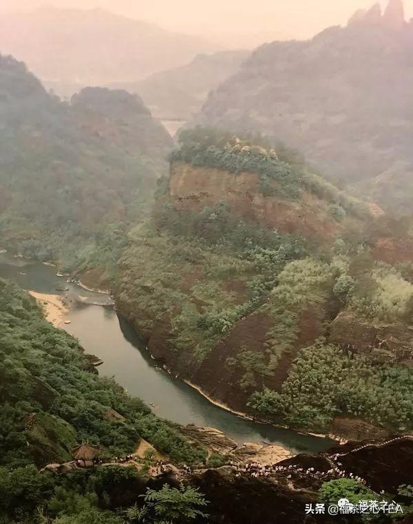 福建武夷山大红袍高香炭焙肉桂,武夷茶大红袍传统技艺