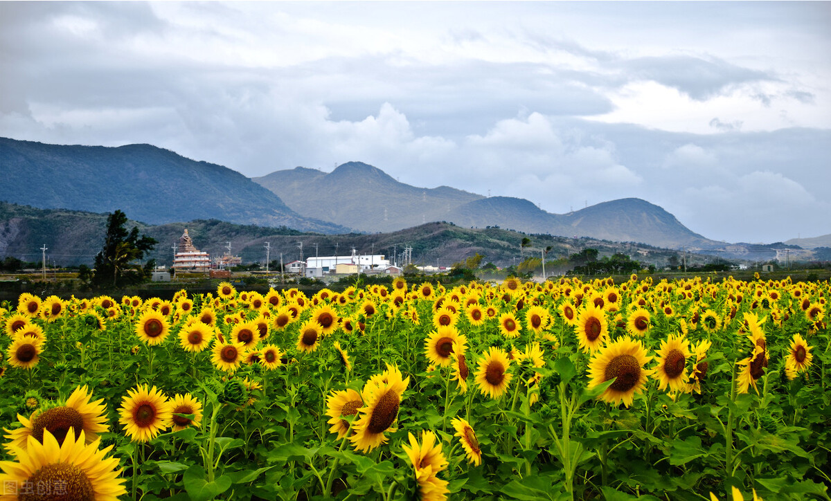 授权签字人岗位职责是什么,授权签字人签字领域是什么