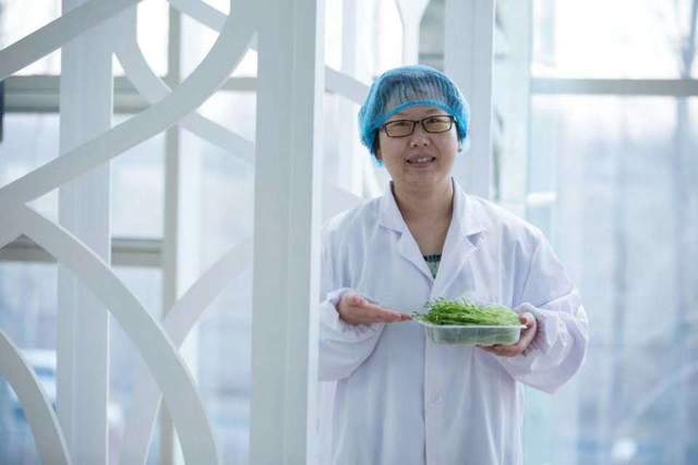 海归创业亏1700万,海归博士年收入八万万