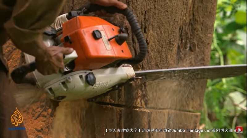 第1844回:皆伐破坏栖息生态,间伐劳工大象伐木