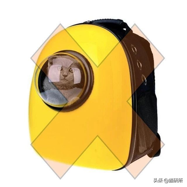 应该如何引导猫咪进航空箱,怎样让猫咪不害怕主人