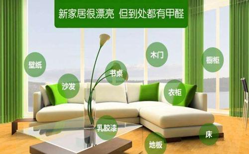 绿植除甲醛效果怎么样,绿植除甲醛哪个更靠谱