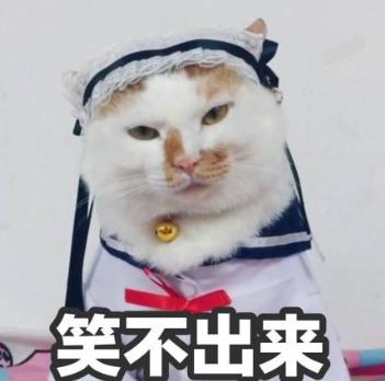 十问董秘五矿稀土,十问崔永元原文回应