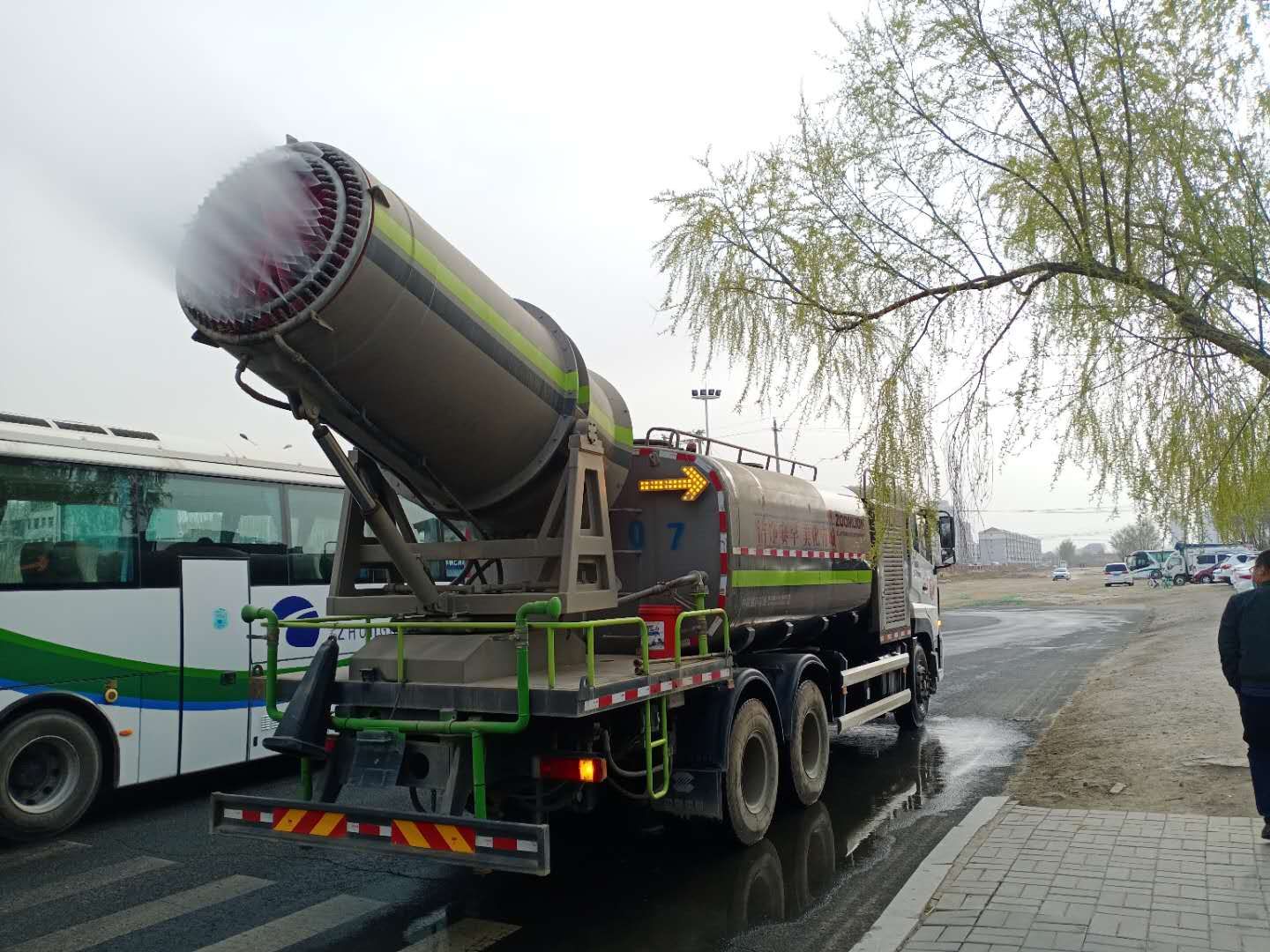 “城市黄玫瑰绽放新英姿”