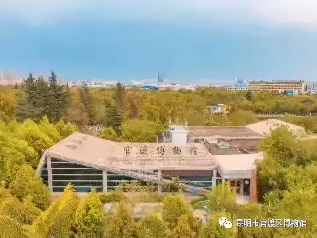 昆明动物博物馆免费开放时间,昆明博物馆和云南博物馆哪个好