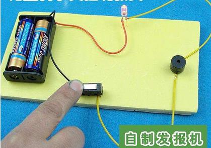 假如世界末日只能救一个人,假如末日来临你只能解救一个动物