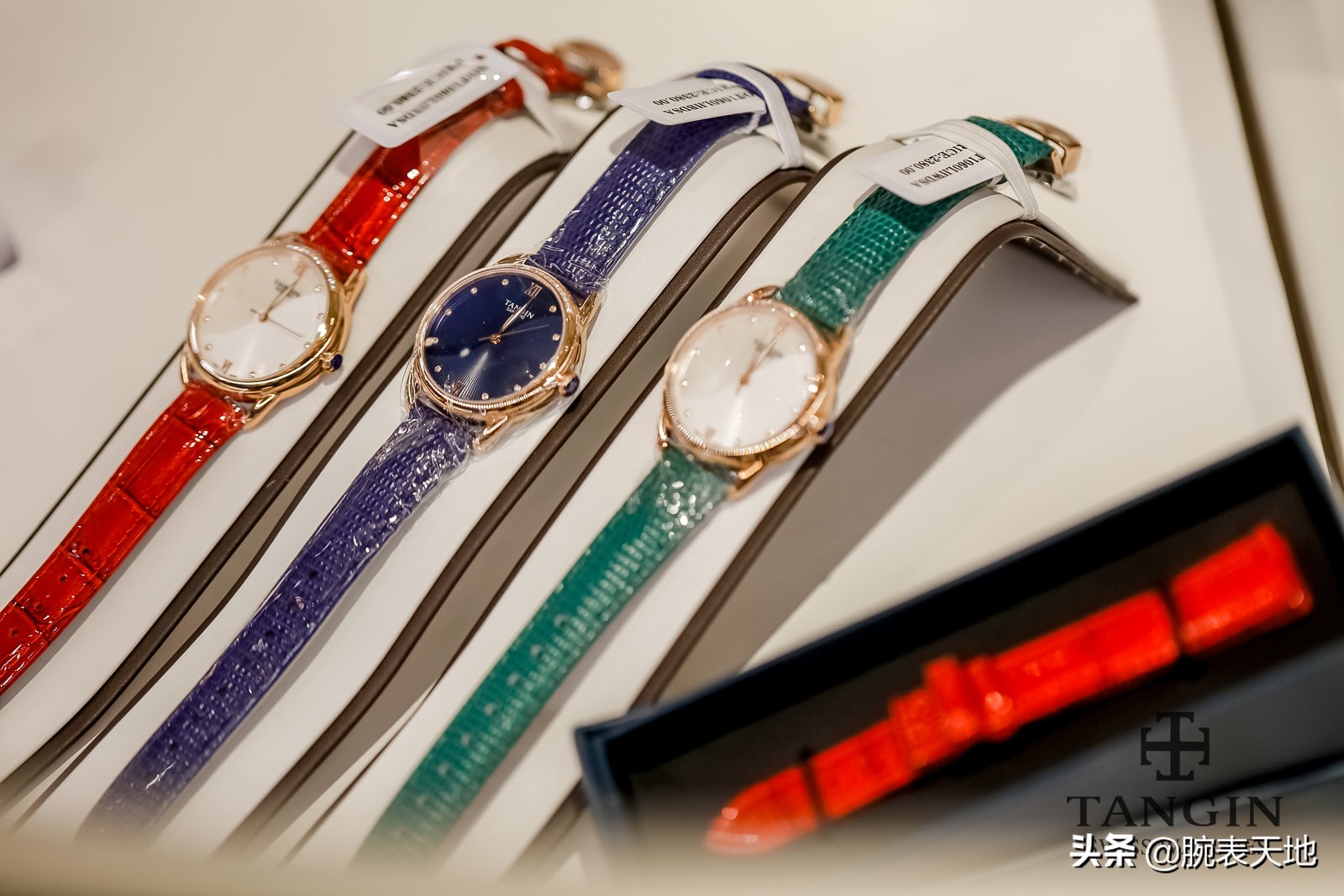 严屹宽瑞士发布会,严屹宽瑞士