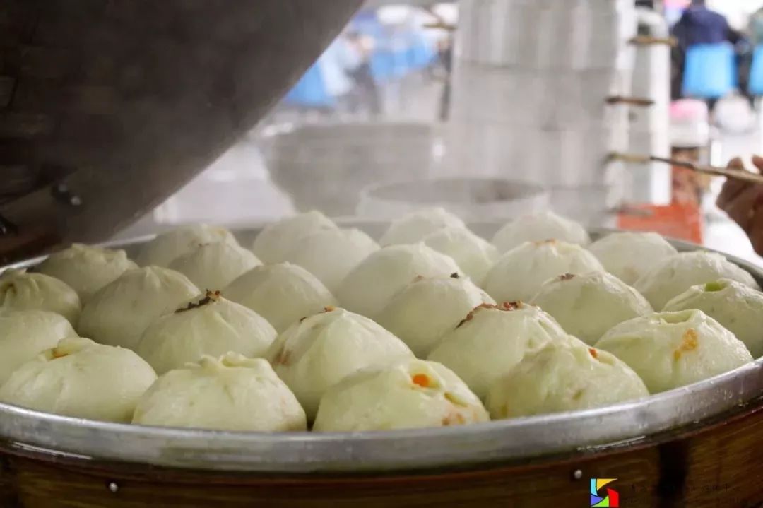 选择青岛港湾的理由,山东职业学院与青岛港湾职业学院