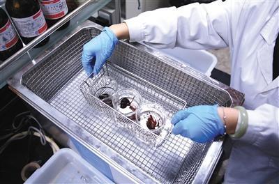 长春水产市场推荐,今日宽城区水产批发市场