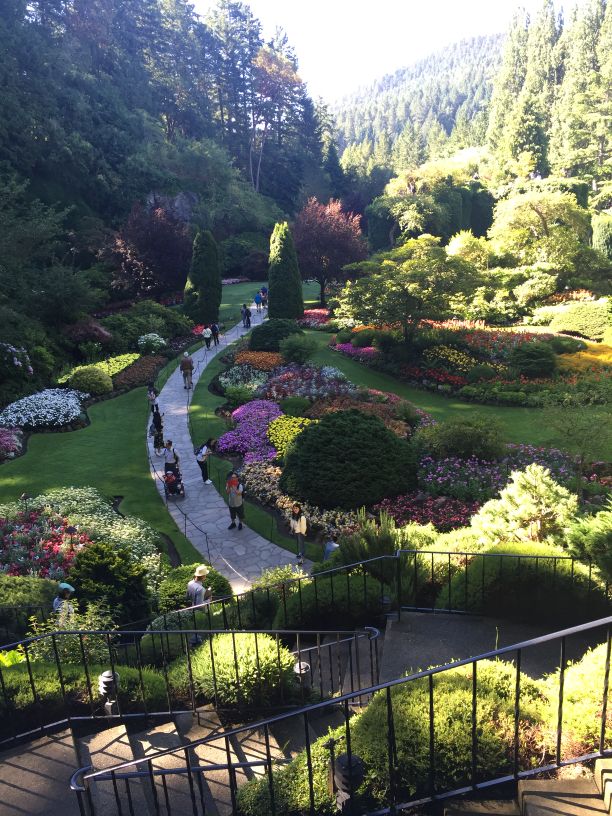 我的旅行故事精彩片段,我的旅行故事全集