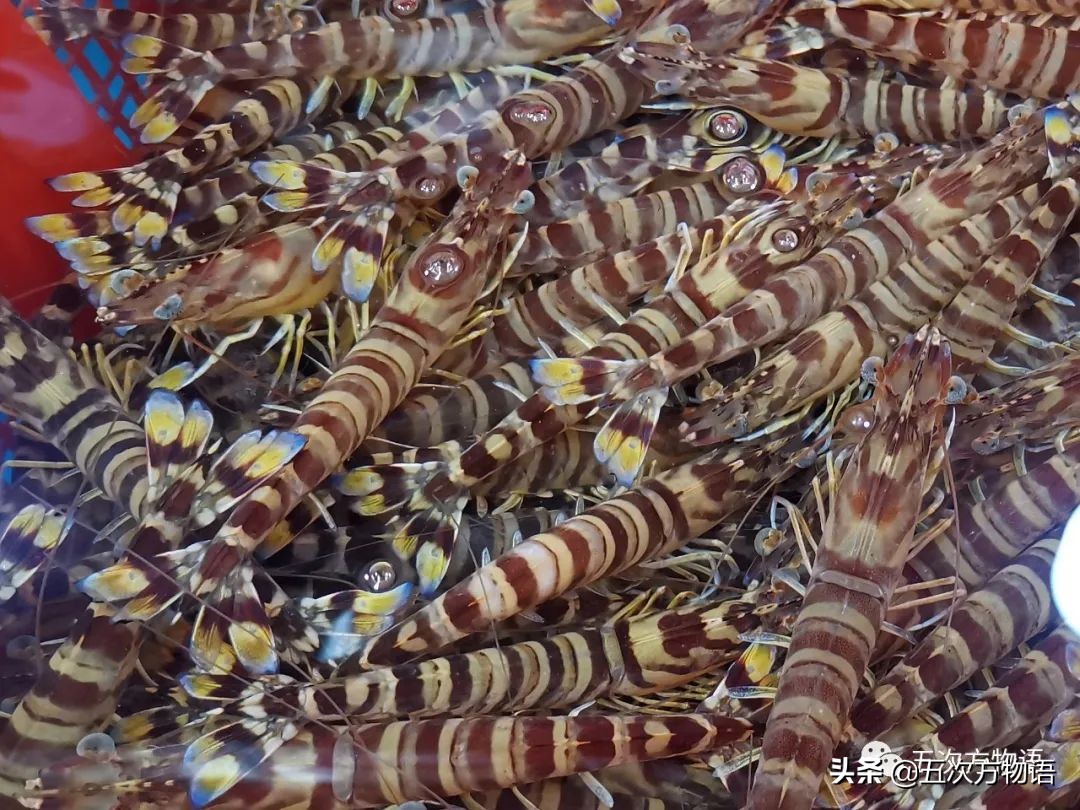 青岛海鲜市场价格表今日,青岛哪个农贸市场海鲜最便宜又好