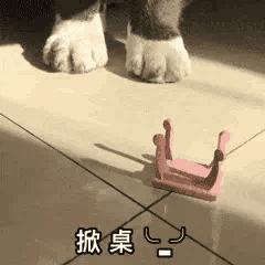 过年最容易被误解的专业,学的专业被误解