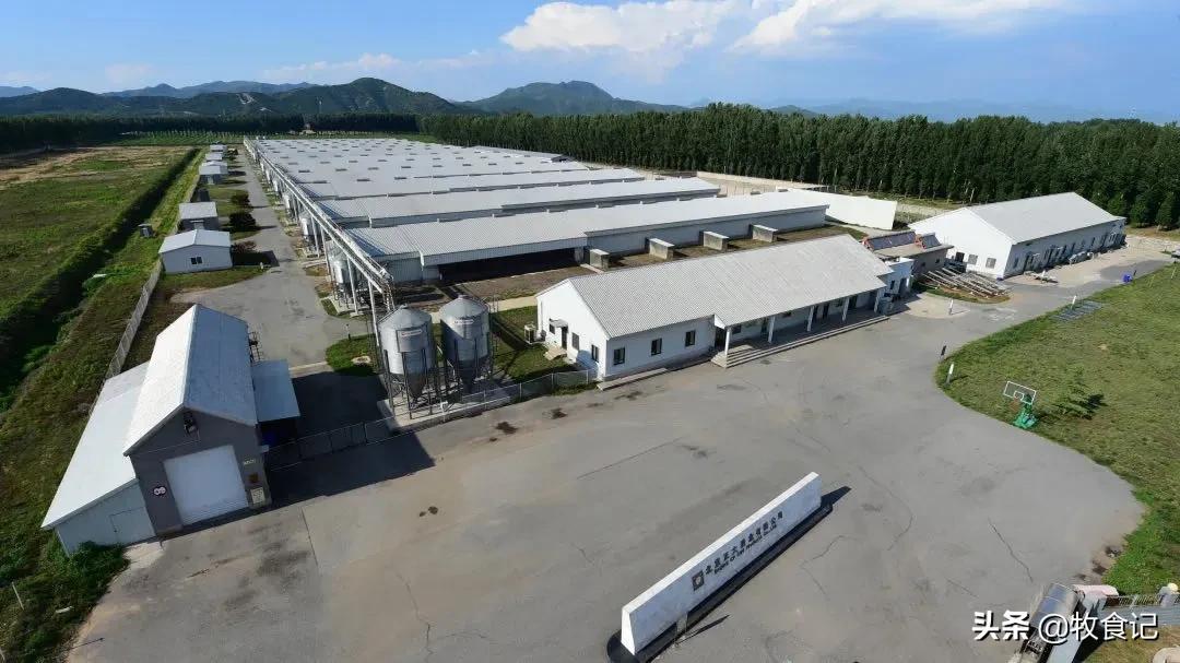 正大牧业集团总部在哪里,正大农牧食品及零售