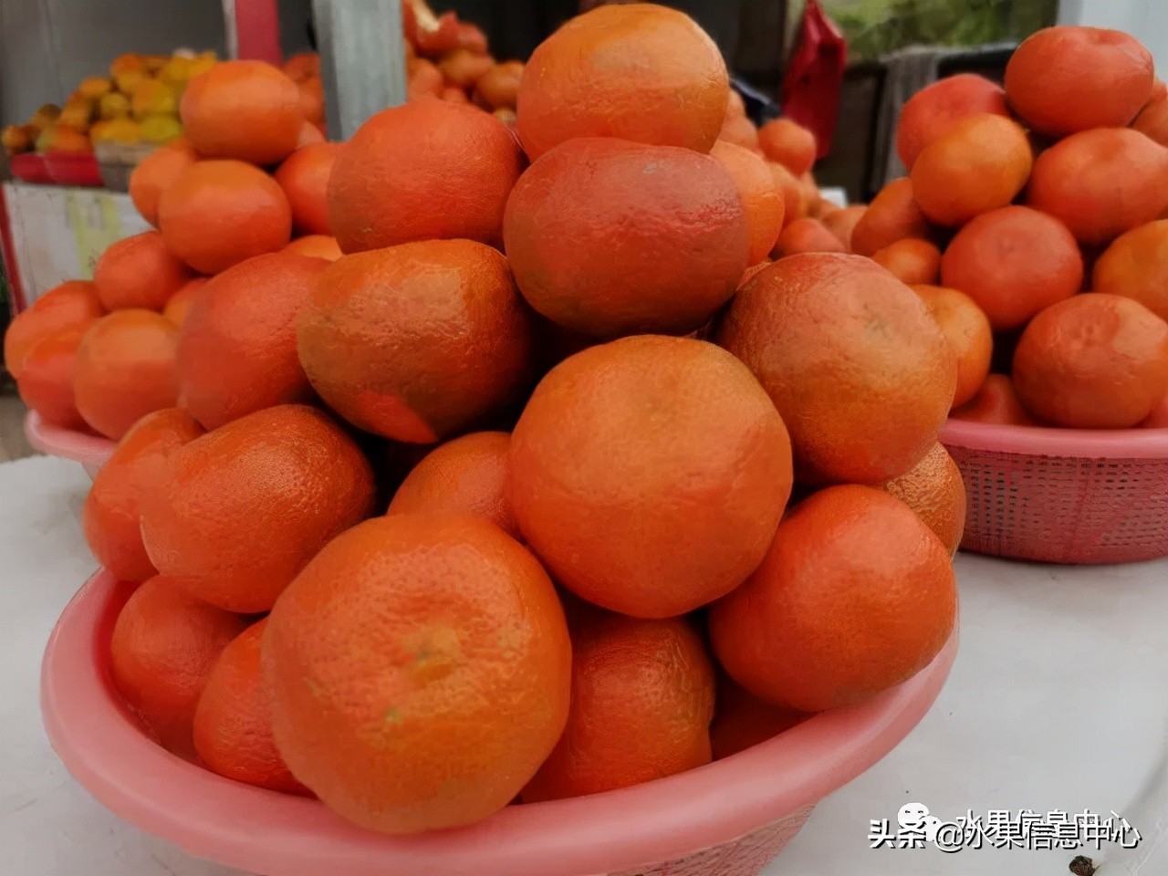 我国柑橘产区分布,柑橘产地行情