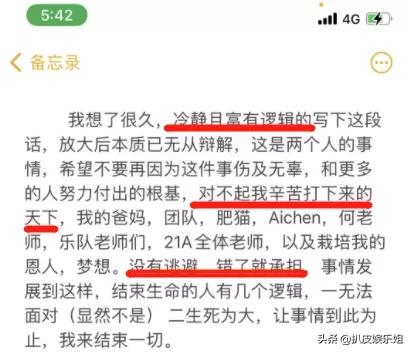 孟美岐被锤事件怎么回事,孟美岐被石锤了没