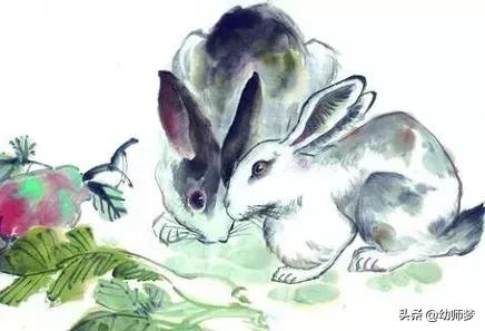 生肖和哪些生肖最配对最好,生肖与生肖配对哪个最好呢