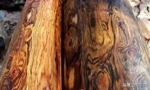 六种常用木材,常见的十种木材