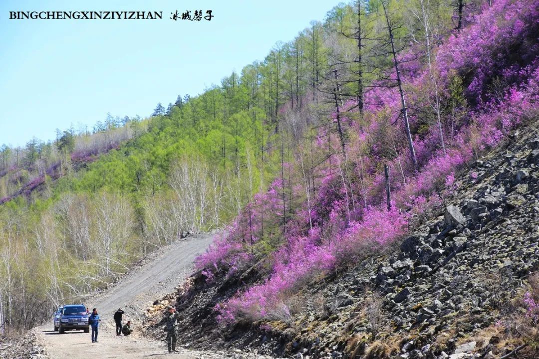 寻找中国最美的春季,探寻中国最美秘境