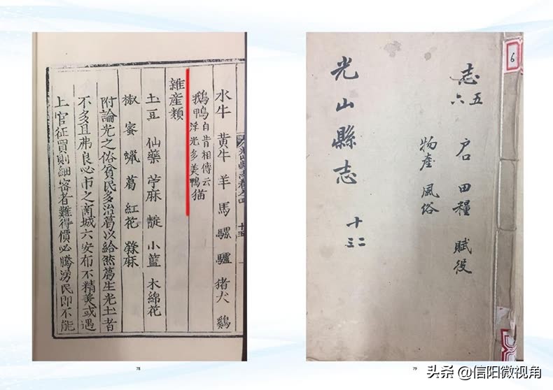 正宗信阳土特产咸鸭蛋,咸鸭蛋信阳