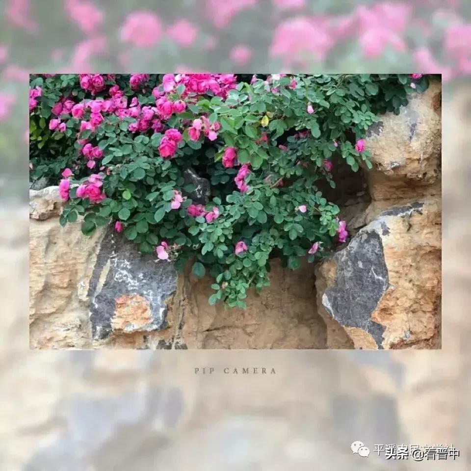 晋中婚宴,晋中旅行图文日记