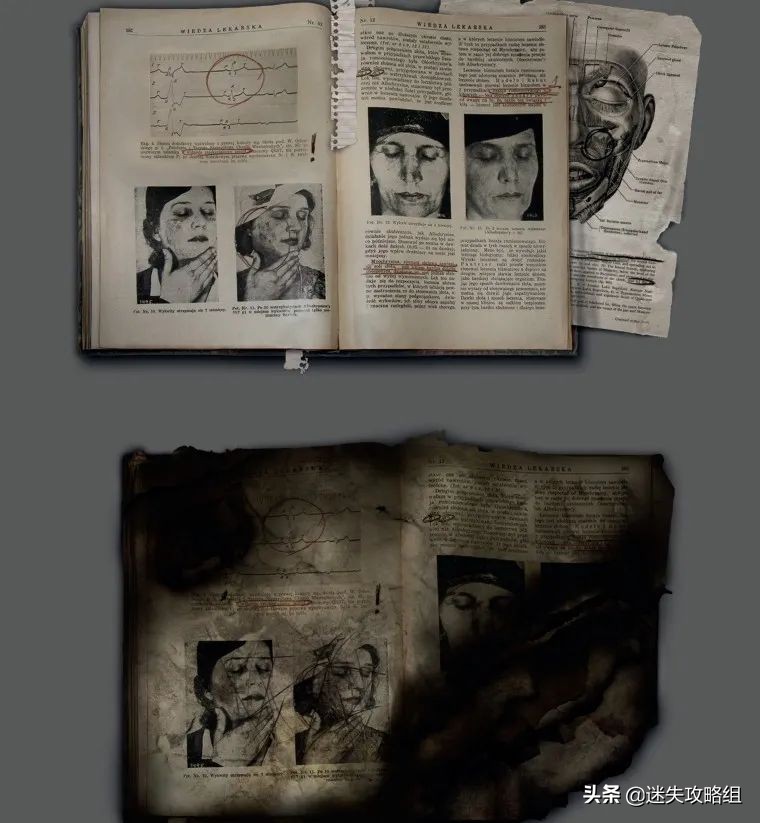 阴暗森林游戏的背景,阴暗森林游戏解析