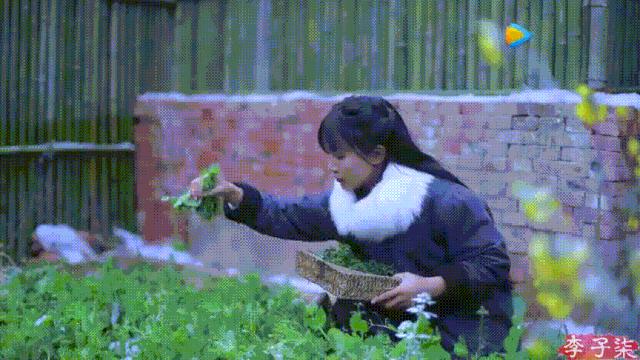 李子柒视频转场技巧,李子柒拍摄视频技巧