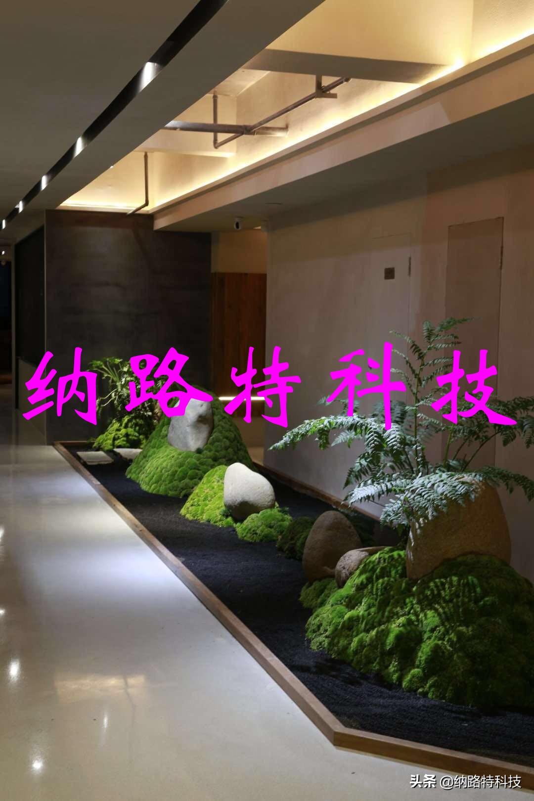 硅藻泥壁材加盟品牌,甘肃大品牌硅藻泥加盟哪个品牌好