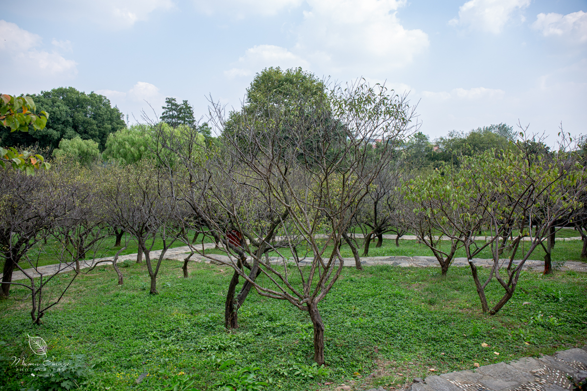 江南百年园林,江南私家园林所蕴含的人文情怀