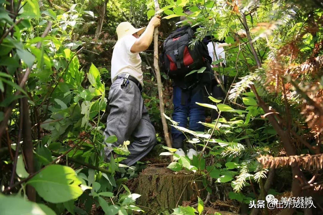 舒城县五显镇石关风景区,舒城石关风景游玩攻略