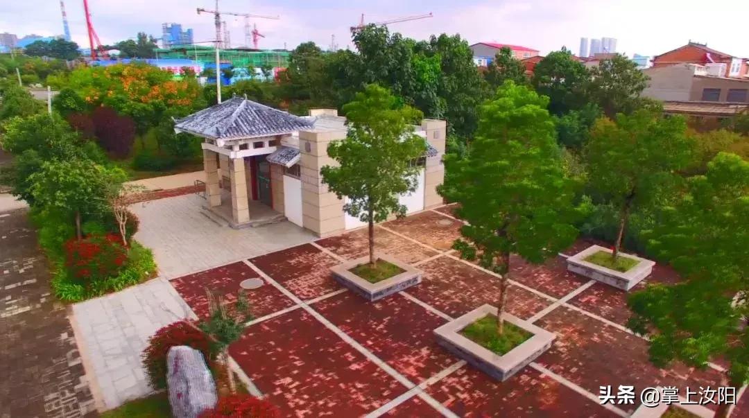 2024年洛阳民生重点工作,2024洛阳市民生实事