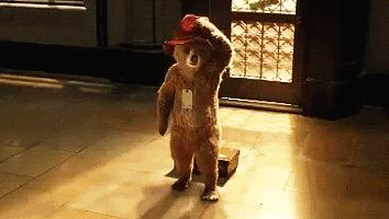 感觉自己萌萌哒外国版,感觉自己萌萌哒卖萌无罪