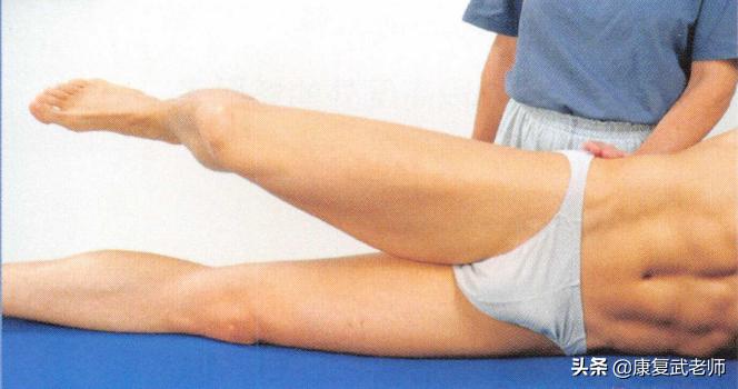 臀部肌群解剖,臀部肌功能解剖