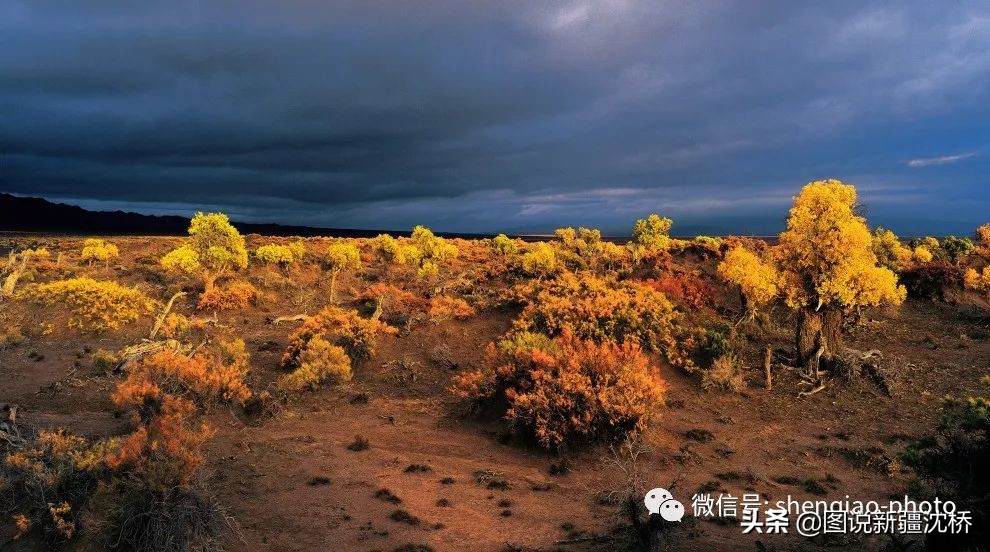 70周年摄影作品欣赏,七十周年摄影作品图片展