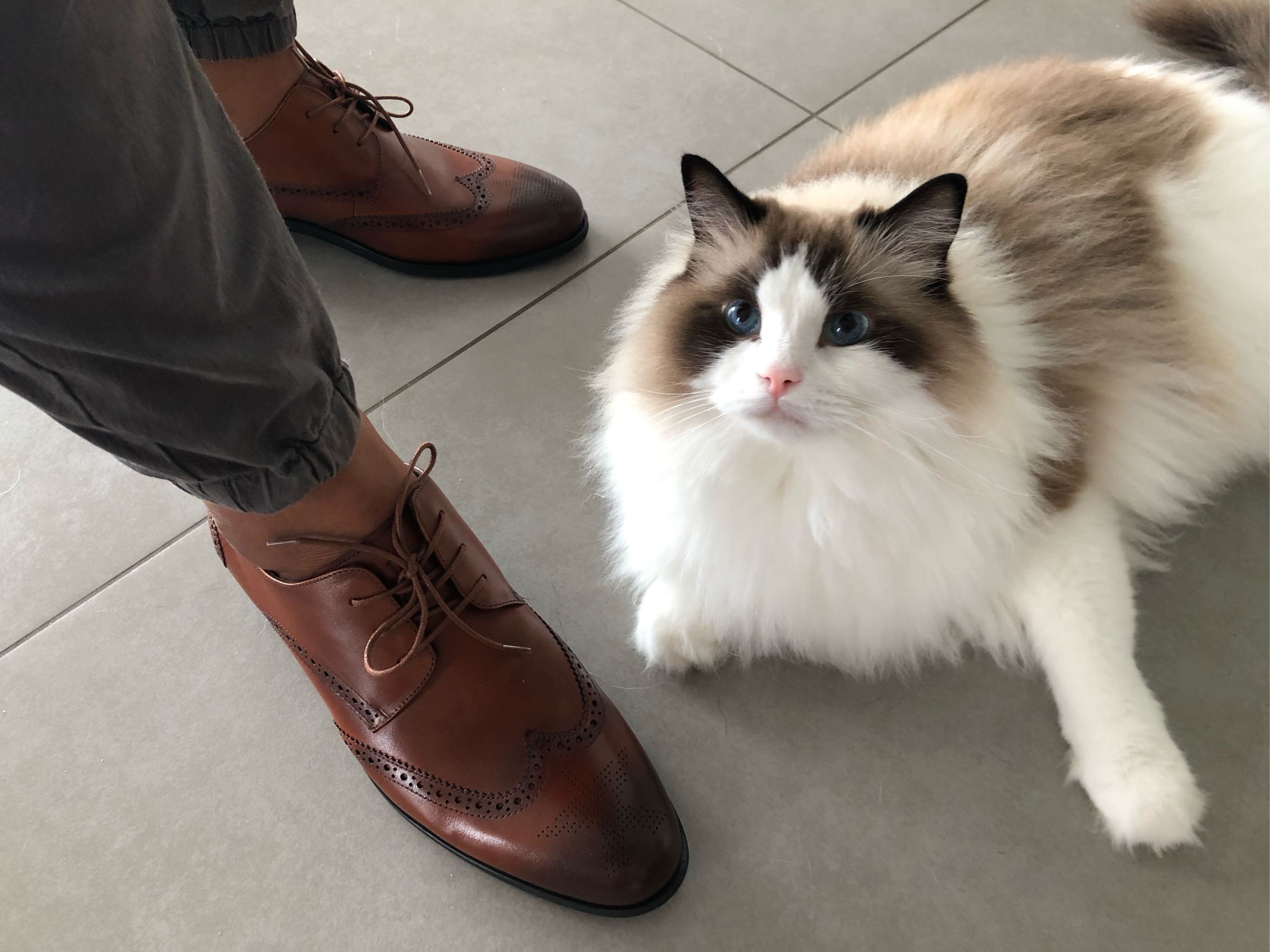 ellehomme休闲男鞋,ellehomme的皮鞋怎么样