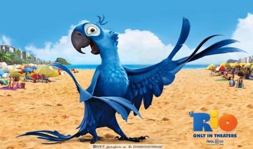 巴西热情桑巴视频,热情奔放充满激情的巴西桑巴