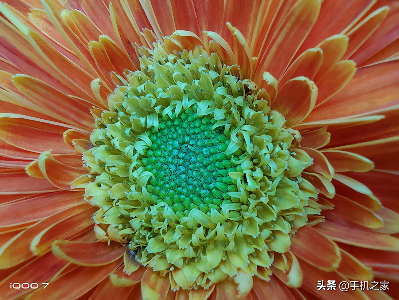 iqooneo5s和iqoo7更推荐哪个,iqoo7评测gt