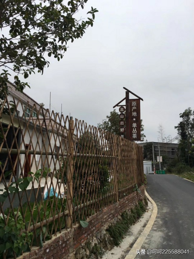 假日山村游玩,假日凤凰山旅游攻略